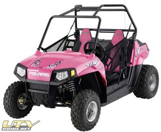 RZR 170 LE Pink Power