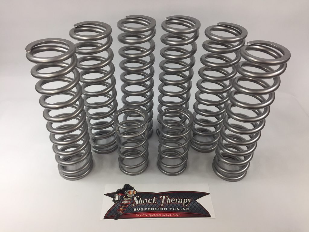 Shock Therapy Dual Rate Spring Kit